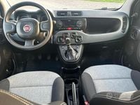 Usata Fiat Panda 69 CV (50 kW) 2021 Bianco Utilitaria
