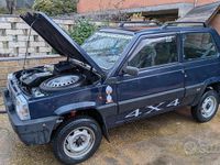 Usata Fiat Panda 4x4 1990 Blu Utilitaria
