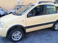 Usata Fiat Panda 4x4 Climbing 69 CV (50 kW) 2006 Giallo Utilitaria