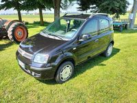 Usata Fiat Panda Active 77 CV (56 kW) 2011 Utilitaria