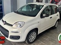 Neu Fiat Panda Pop 69 PS (50 kW) 2025 Weiß Kleinwagen
