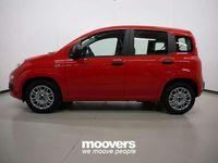 Usata Fiat Panda S 70 CV (51 kW) 2024 Rosso Utilitaria