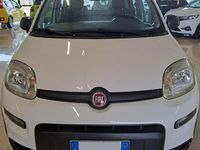 Usata Fiat Panda 4x4 Wild 86 CV (63 kW) 2019 Bianco gelato pastello extra Utilitaria