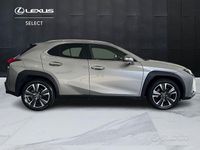 Usata Lexus UX 250h Executive Line 184 CV (135 kW) 2019 Grigio SUV