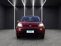 Begagnad Fiat Panda S 69 HK (50 kW) 2024 Röd Sedan