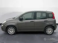 Usata Fiat Panda Easy 70 CV (51 kW) 2021 Grigio Utilitaria