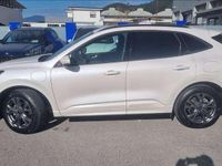 Usata Ford Kuga ST-Line X 224 CV (164 kW) 2023 Bianco SUV