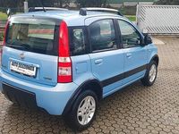 Usata Fiat Panda Climbing 60 CV (44 kW) 2010 Blu Utilitaria