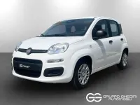 Nuova Fiat Panda Icon 65 CV (47 kW) 2026 Bianco gelato pastello Utilitaria