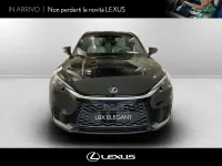 Usata Lexus LBX 136 CV (100 kW) 2024 Nerolight sand SUV
