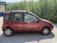 Usata Fiat Panda Dynamic 69 CV (50 kW) 2006 Rosso Utilitaria