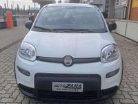 Usata Fiat Panda S 69 CV (50 kW) 2023 Bianco Utilitaria