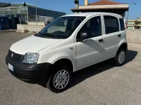 Usata Fiat Panda 4x4 Active 69 CV (50 kW) 2011 Bianco Utilitaria
