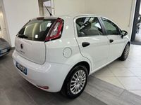 usata Fiat Punto Evo 1.3 Mjt 75 CV DPF 5 porte S&S Act