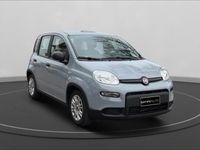 usata Fiat Panda New1.0 FireFly Hybrid