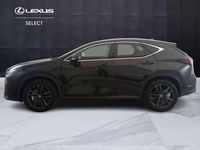 Nuova Lexus NX350h 190 CV (139 kW) 2026 Nero SUV