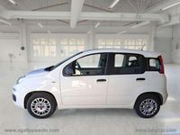 Usata Fiat Panda Easy 69 CV (50 kW) 2020 Bianco Utilitaria