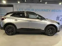 Usata Opel Grandland X 131 CV (96 kW) 2022 Grigio SUV