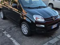 Usata Fiat Panda Lounge 69 CV (50 kW) 2018 Utilitaria
