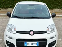 Usata Fiat Panda Easy 69 CV (50 kW) 2019 Bianco Utilitaria