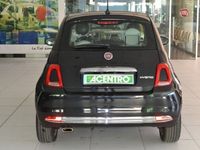 usata Fiat Cinquecento - MY21 Dolcevita 1.0 70CV U182000