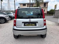 Usata Fiat Panda Dynamic 60 CV (44 kW) 2010 Grigio Utilitaria