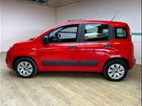 usata Fiat Panda 1.2 Pop del 2019 usata a Faenza