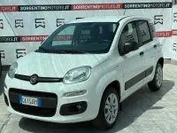 Usata Fiat Panda Cross Cross 85 CV (62 kW) 2020 Bianco Utilitaria