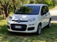Usata Fiat Panda 86 CV (63 kW) 2016 Utilitaria