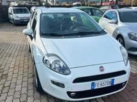 Usata Fiat Punto Lounge 85 CV (62 kW) 2016 Bianco Utilitaria