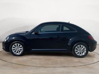 usata VW Maggiolino 1.6 TDI Design del 2013 usata a Terni