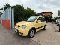 Usata Fiat Panda Climbing 69 CV (50 kW) 2011 Giallo Utilitaria