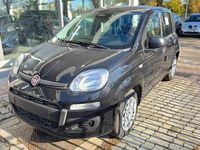 Nuova Fiat Panda S 70 CV (51 kW) 2025 Venom black Utilitaria