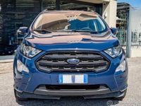 Usata Ford Ecosport Titanium 2019 Blu SUV