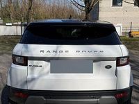 Usata Land Rover Range Rover evoque 150 CV (110 kW) 2017 Bianco Station wagon