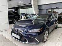 usata Lexus ES300 300h 2.5 luxury cvt