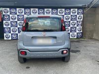 usata Fiat Panda Cross 1.0 HYBRID 70CV 2020 USATO