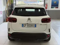 Usata Citroën C5 Aircross Feel 131 CV (96 kW) 2023 Bianco SUV