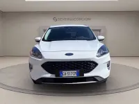 Usata Ford Kuga Business Edition 190 CV (139 kW) 2022 Bianco SUV