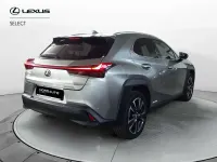 Usata Lexus UX 184 CV (135 kW) 2020 Grigio SUV