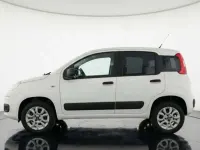 Usata Fiat Panda 4x4 86 CV (63 kW) 2019 Bianco Utilitaria