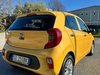 Usata Kia Picanto X-Line 67 CV (49 kW) 2021 Giallo Utilitaria