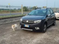 Usata Dacia Sandero 73 CV (53 kW) 2019 Nero Berlina