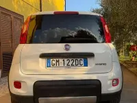 Usata Fiat Panda Cross Cross 69 CV (50 kW) 2022 Utilitaria
