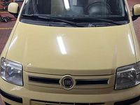Usata Fiat Panda Dynamic 60 CV (44 kW) 2010 Giallo Utilitaria