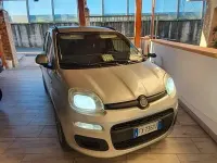 Usata Fiat Panda 75 CV (55 kW) 2019 Grigio Utilitaria