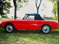 Usata Alfa Romeo Spider 1960 Rosso Cabrio