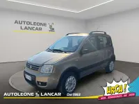 Usata Fiat Panda 4x4 Climbing 60 CV (44 kW) 2007 Bronzo Utilitaria