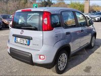 usata Fiat Panda New My22 1.0 70cv Hybrid