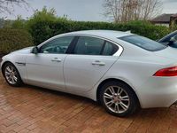 Usata Jaguar XE Pure 179 CV (131 kW) 2016 Bianco Berlina